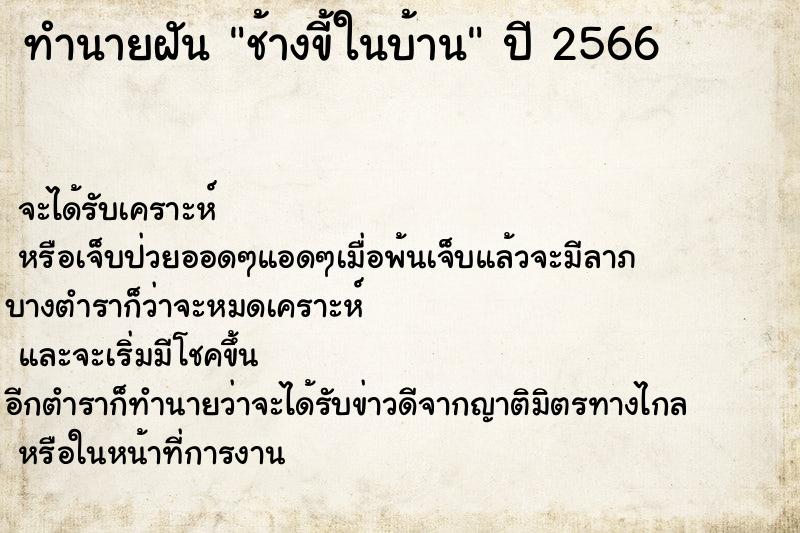 ทำนายฝัน ช้างขี้ในบ้าน ทำนายฝัน ช้างขี้ในบ้าน