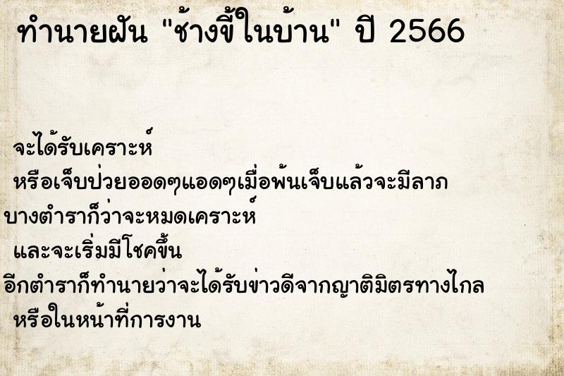 ทำนายฝัน ช้างขี้ในบ้าน ตำราโบราณ แม่นที่สุดในโลก