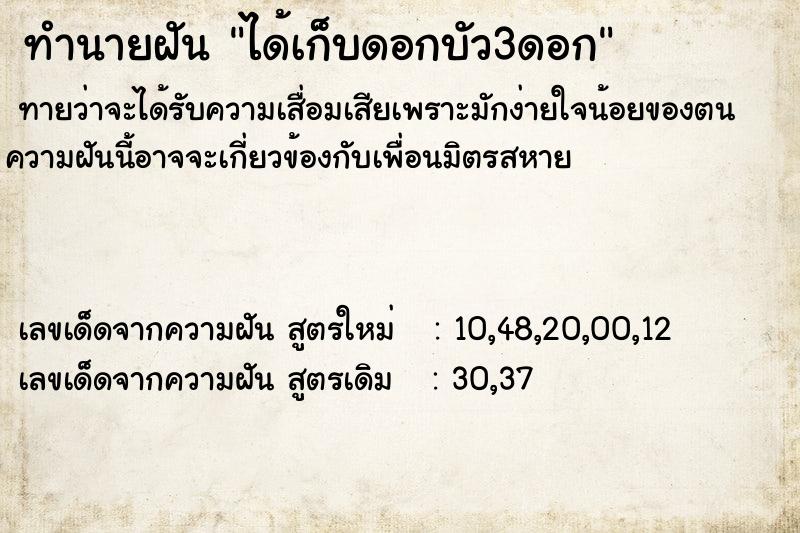 ทำนายฝัน ได้เก็บดอกบัว3ดอก ตำราโบราณ แม่นที่สุดในโลก