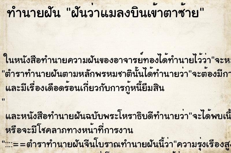 ทำนายฝันทำนายฝันฝันว่าแมลงบินเข้าตาซ้าย