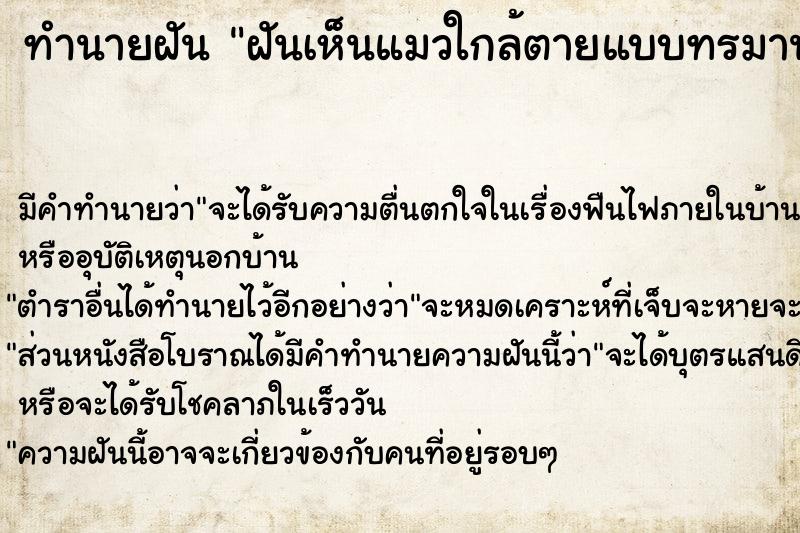 ทำนายฝันทำนายฝันฝันเห็นแมวใกล้ตายแบบทรมานมากเช้าวัน