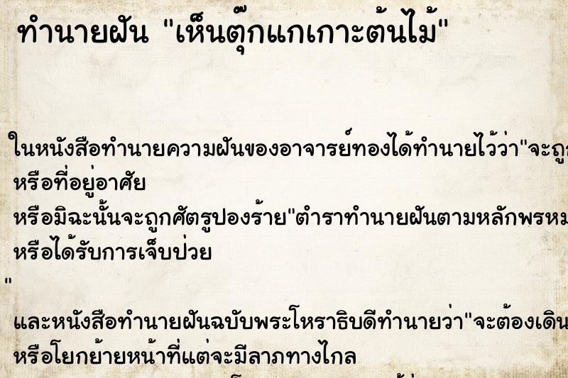 ทำนายฝัน เห็นตุ๊กแกเกาะต้นไม้ ทำนายฝัน เห็นตุ๊กแกเกาะต้นไม้
