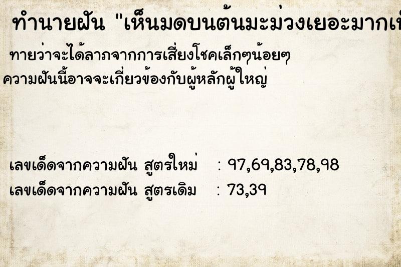 ทำนายฝัน เห็นมดบนต้นมะม่วงเยอะมากเห็นมดบนต้นมะม่วงเยอะ ทำนายฝัน เห็นมดบนต้นมะม่วงเยอะมากเห็นมดบนต้นมะม่วงเยอะ