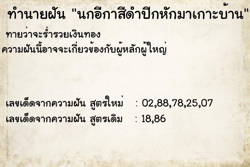 ทำนายฝัน นกอีกาสีดำปีกหักมาเกาะบ้าน ทำนายฝัน นกอีกาสีดำปีกหักมาเกาะบ้าน