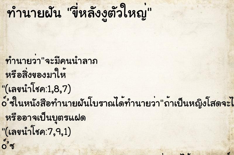 ทำนายฝัน ขี่หลังงูตัวใหญ่ ทำนายฝัน ขี่หลังงูตัวใหญ่