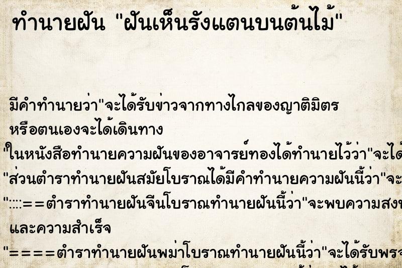 ทำนายฝัน ฝันเห็นรังแตนบนต้นไม้ ทำนายฝัน ฝันเห็นรังแตนบนต้นไม้