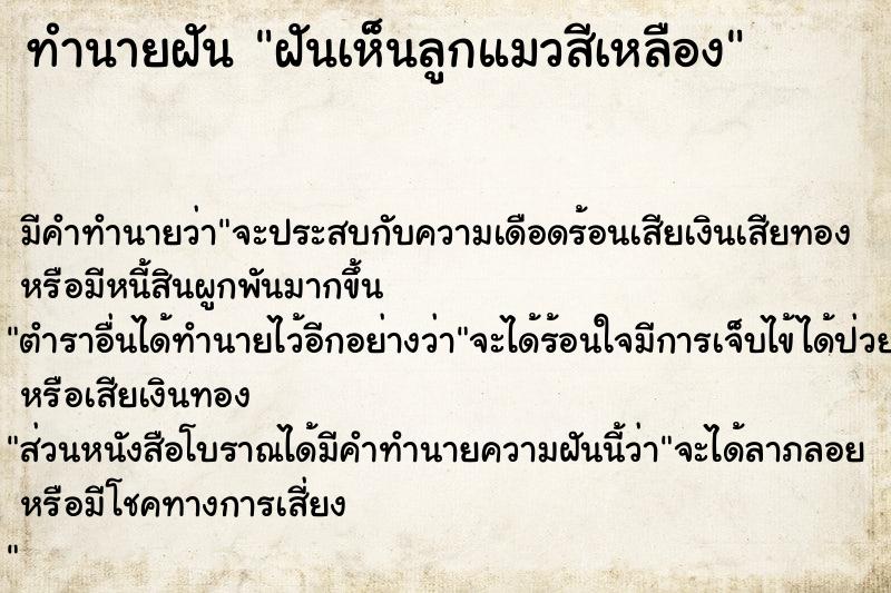 ทำนายฝัน ฝันเห็นลูกแมวสีเหลือง ทำนายฝัน ฝันเห็นลูกแมวสีเหลือง