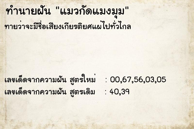 ทำนายฝันแมวกัดแมงมุม ทำนายฝันทำนายฝันแมวกัดแมงมุม