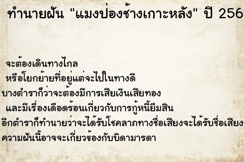 ทำนายฝันแมงป่องช้างเกาะหลัง ทำนายฝันทำนายฝันแมงป่องช้างเกาะหลัง