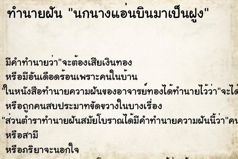 ทำนายฝันทำนายฝันนกนางแอ่นบินมาเป็นฝูง