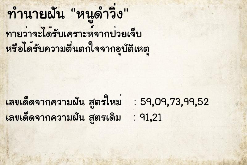 ทำนายฝัน หนูดำวิ่ง ทำนายฝัน หนูดำวิ่ง