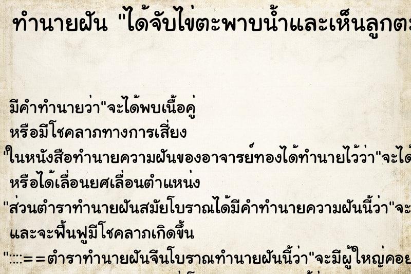 ทำนายฝัน ได้จับไข่ตะพาบน้ำและเห็นลูกตะพาบ ทำนายฝัน ได้จับไข่ตะพาบน้ำและเห็นลูกตะพาบ