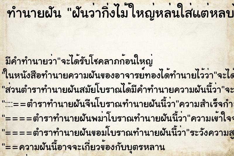 ทำนายฝัน ฝันว่ากิ่งไม้ใหญ่หล่นใส่แต่หลบได้ ทำนายฝัน ฝันว่ากิ่งไม้ใหญ่หล่นใส่แต่หลบได้