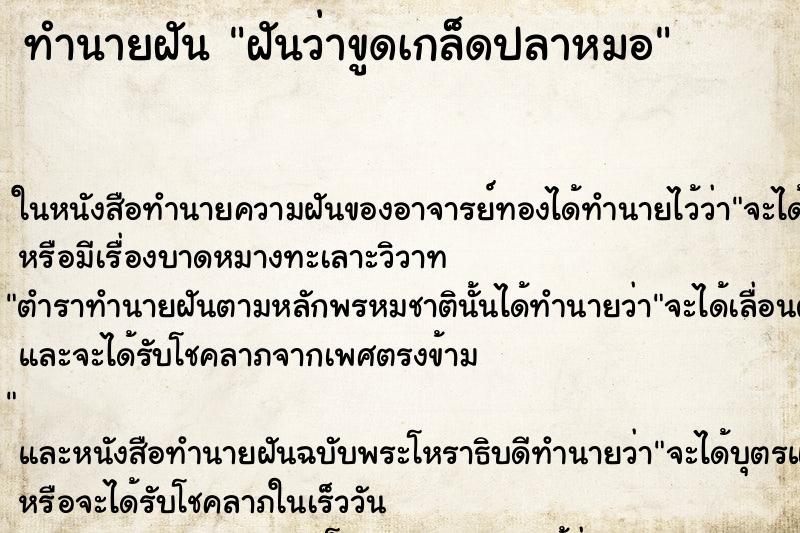 ทำนายฝันฝันว่าขูดเกล็ดปลาหมอ ทำนายฝันทำนายฝันฝันว่าขูดเกล็ดปลาหมอ