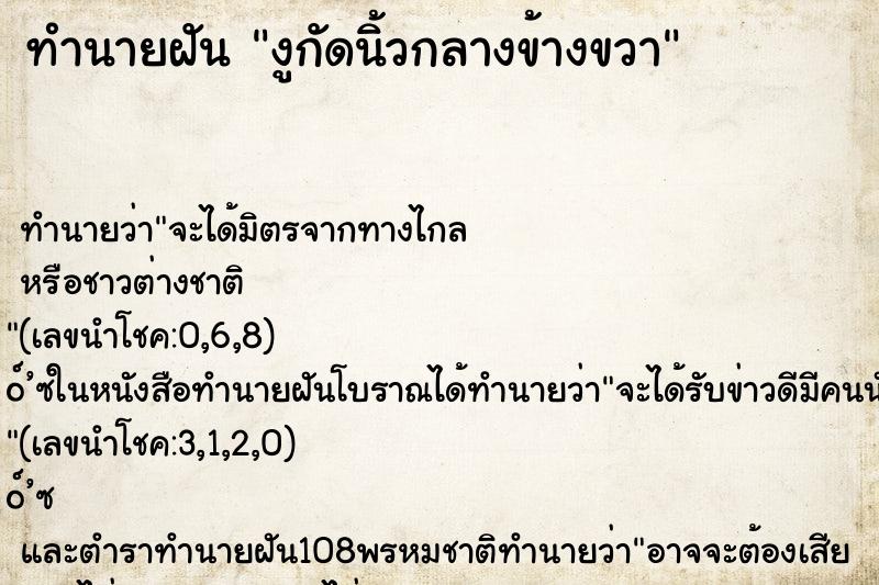 ทำนายฝัน งูกัดนิ้วกลางข้างขวา ทำนายฝัน งูกัดนิ้วกลางข้างขวา