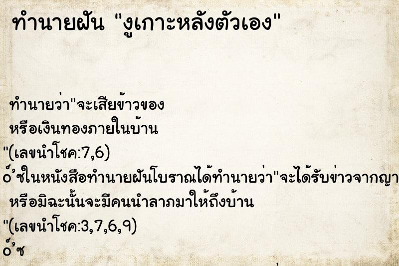 ทำนายฝัน งูเกาะหลังตัวเอง
