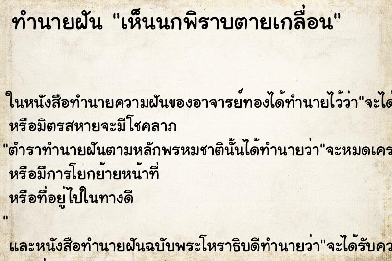 ทำนายฝันเห็นนกพิราบตายเกลื่อน ทำนายฝันทำนายฝันเห็นนกพิราบตายเกลื่อน