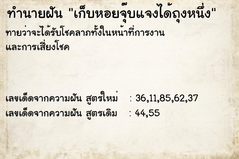 ทำนายฝัน เก็บหอยจุ๊บแจงได้ถุงหนึ่ง ทำนายฝัน เก็บหอยจุ๊บแจงได้ถุงหนึ่ง
