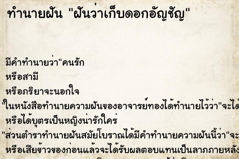 ทำนายฝันทำนายฝันฝันว่าเก็บดอกอัญชัญ