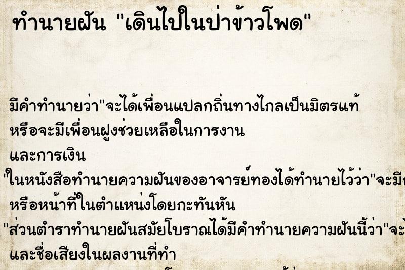 ทำนายฝัน เดินไปในป่าข้าวโพด ตำราโบราณ แม่นที่สุดในโลก