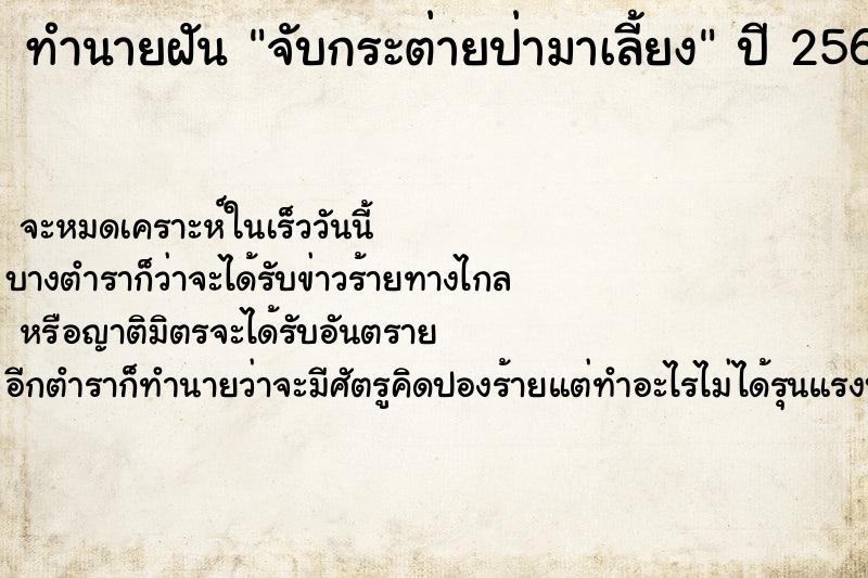 ทำนายฝัน จับกระต่ายป่ามาเลี้ยง ตำราโบราณ แม่นที่สุดในโลก