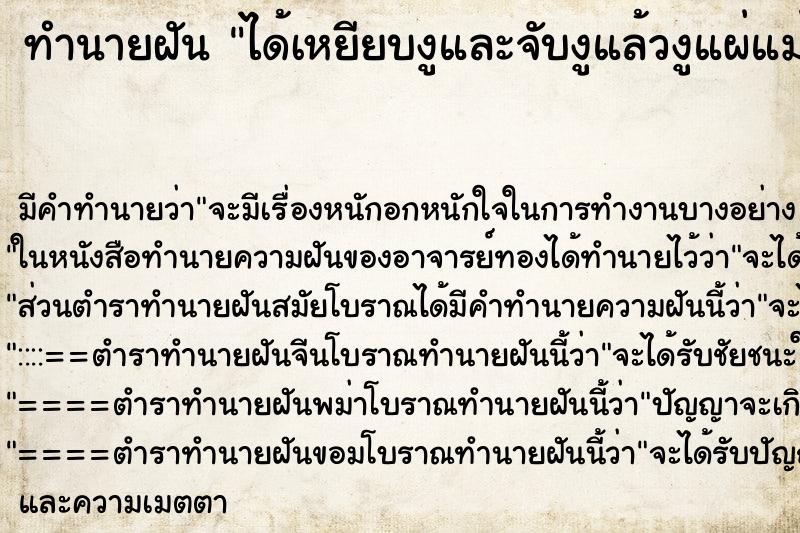 ทำนายฝันได้เหยียบงูและจับงูแล้วงูแผ่แม่เบี้ยใส่ ทำนายฝันทำนายฝันได้เหยียบงูและจับงูแล้วงูแผ่แม่เบี้ยใส่