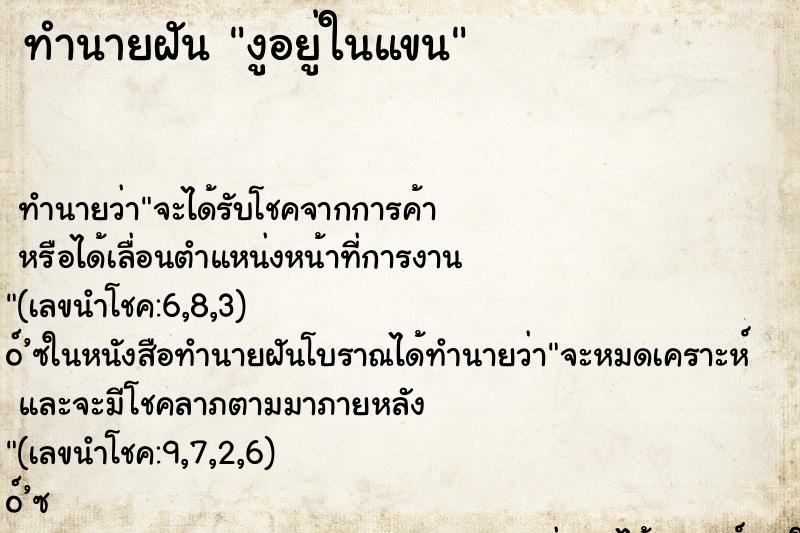 ทำนายฝัน งูอยู่ในแขน ทำนายฝัน งูอยู่ในแขน