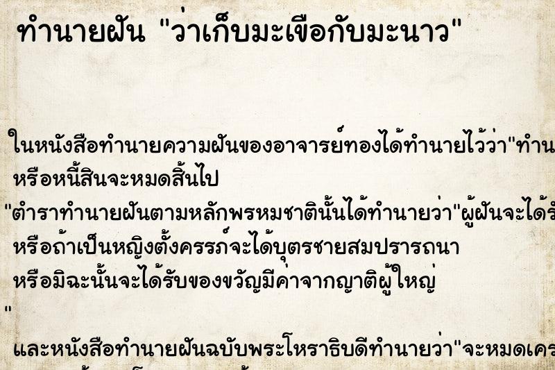 ทำนายฝันว่าเก็บมะเขือกับมะนาว ทำนายฝันทำนายฝันว่าเก็บมะเขือกับมะนาว