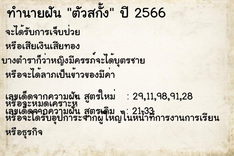 ทำนายฝันทำนายฝันตัวสกั้ง