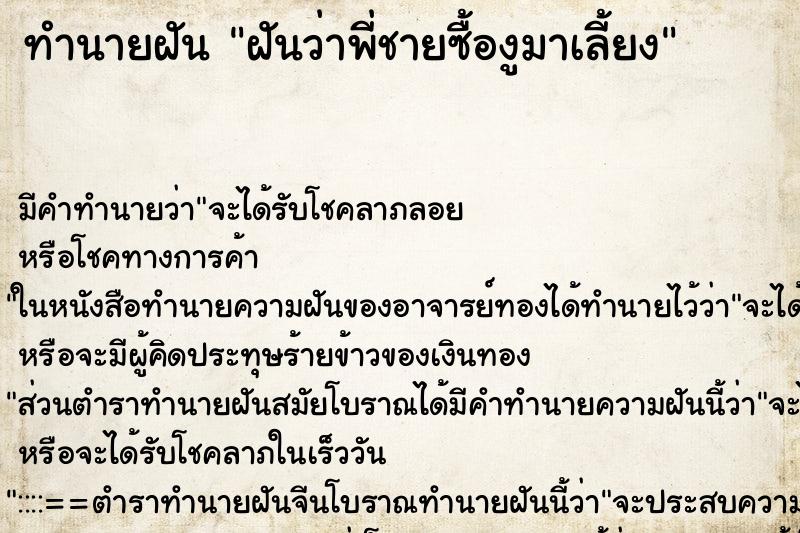 ทำนายฝัน ฝันว่าพี่ชายซื้องูมาเลี้ยง ทำนายฝัน ฝันว่าพี่ชายซื้องูมาเลี้ยง