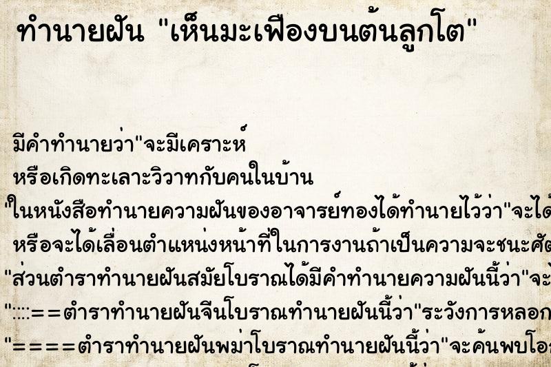 ทำนายฝัน เห็นมะเฟืองบนต้นลูกโต ทำนายฝัน เห็นมะเฟืองบนต้นลูกโต