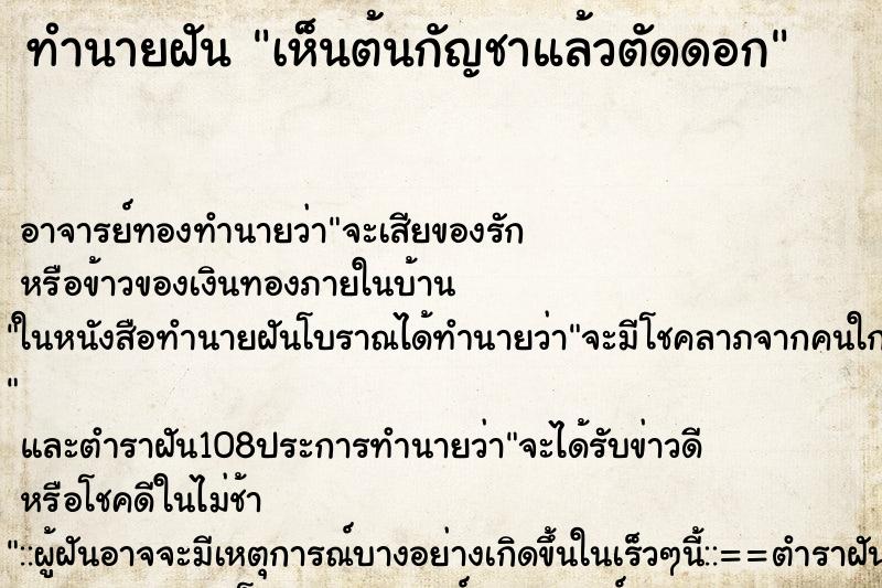 ทำนายฝันเห็นต้นกัญชาแล้วตัดดอก ทำนายฝันทำนายฝันเห็นต้นกัญชาแล้วตัดดอก