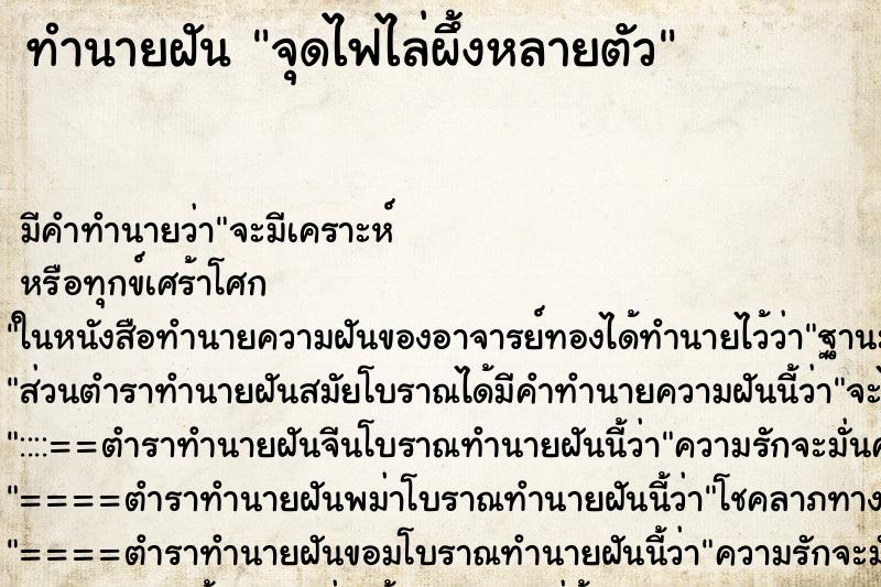 ทำนายฝัน จุดไฟไล่ผึ้งหลายตัว ทำนายฝัน จุดไฟไล่ผึ้งหลายตัว