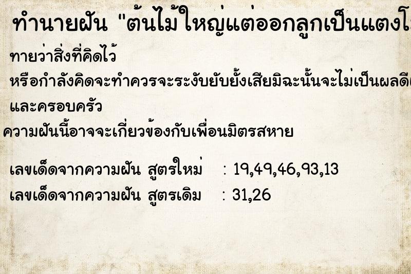 ทำนายฝันต้นไม้ใหญ่แต่ออกลูกเป็นแตงโม ทำนายฝันทำนายฝันต้นไม้ใหญ่แต่ออกลูกเป็นแตงโม