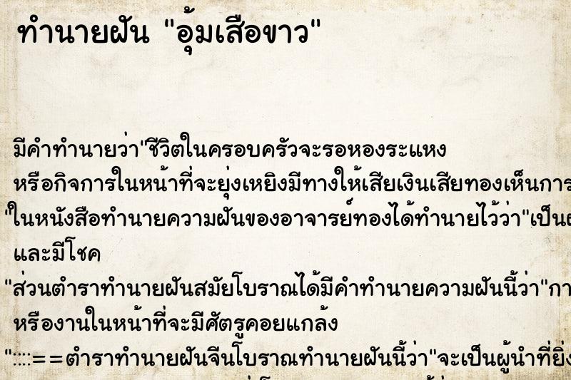 ทำนายฝันอุ้มเสือขาว ทำนายฝันทำนายฝันอุ้มเสือขาว