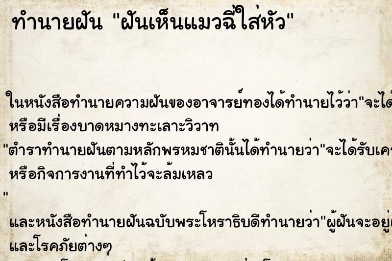 ทำนายฝันทำนายฝันฝันเห็นแมวฉี่ใส่หัว