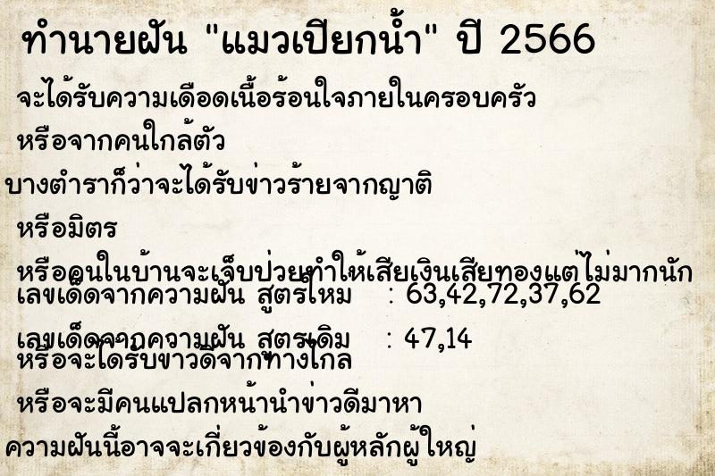 ทำนายฝัน แมวเปียกน้ำ ทำนายฝัน แมวเปียกน้ำ