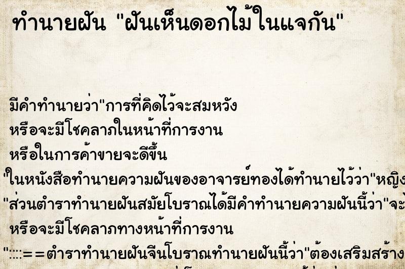 ทำนายฝัน ฝันเห็นดอกไม้ในแจกัน ทำนายฝัน ฝันเห็นดอกไม้ในแจกัน