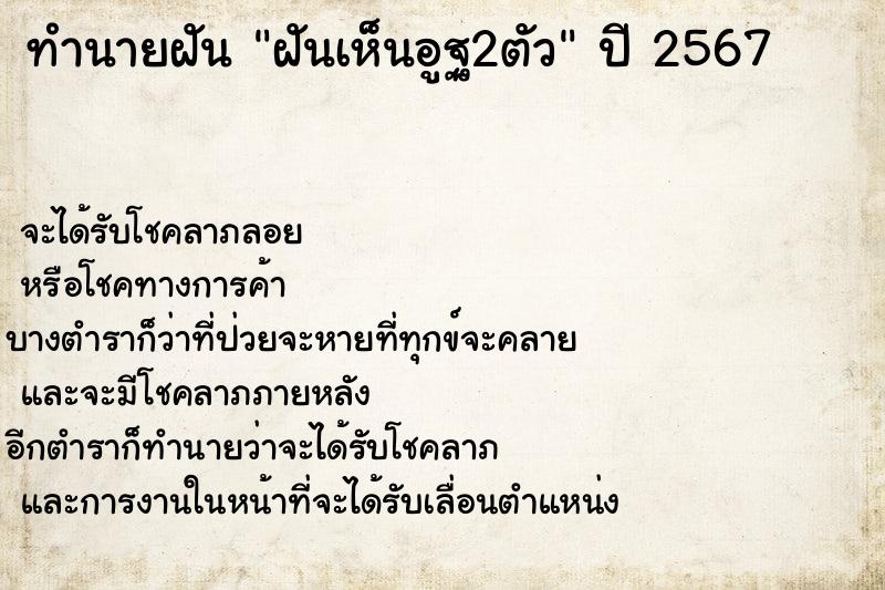 ทำนายฝันทำนายฝันฝันเห็นอูฐ2ตัว