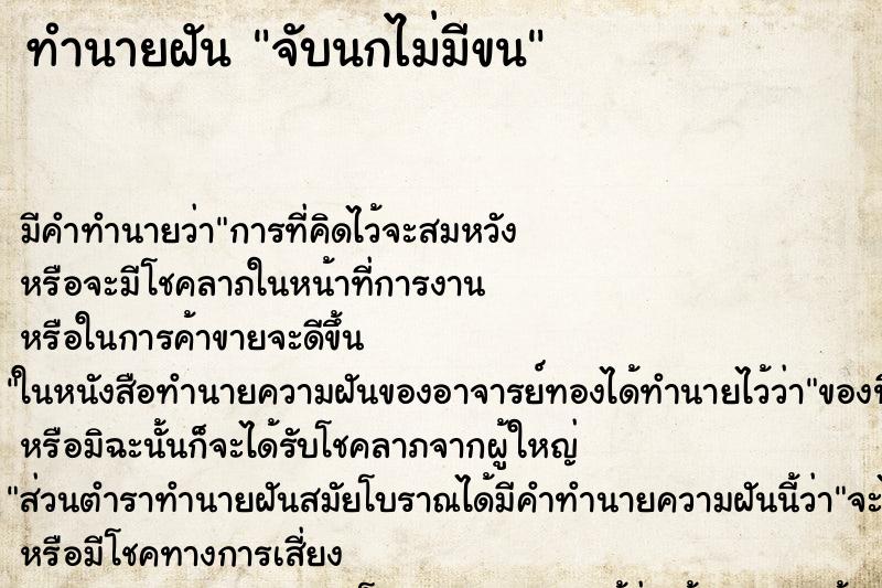 ทำนายฝัน จับนกไม่มีขน ทำนายฝัน จับนกไม่มีขน