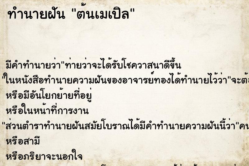 ทำนายฝันต้นเมเปิล ทำนายฝันทำนายฝันต้นเมเปิล