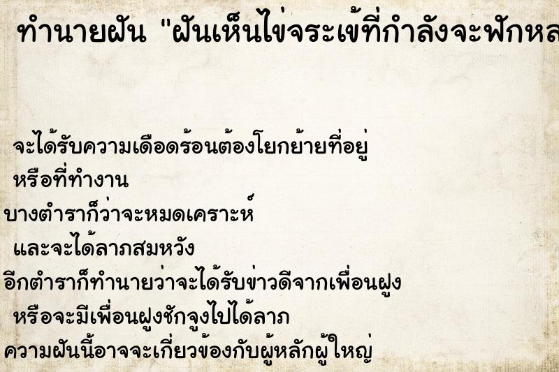 ทำนายฝัน ฝันเห็นไข่จระเข้ที่กำลังจะฟักหลายใบ ทำนายฝัน ฝันเห็นไข่จระเข้ที่กำลังจะฟักหลายใบ