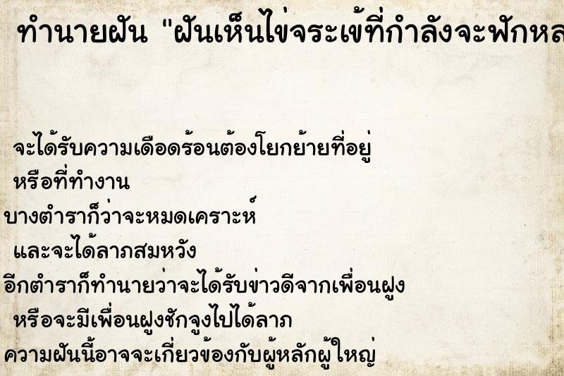 ทำนายฝัน ฝันเห็นไข่จระเข้ที่กำลังจะฟักหลายใบ ตำราโบราณ แม่นที่สุดในโลก