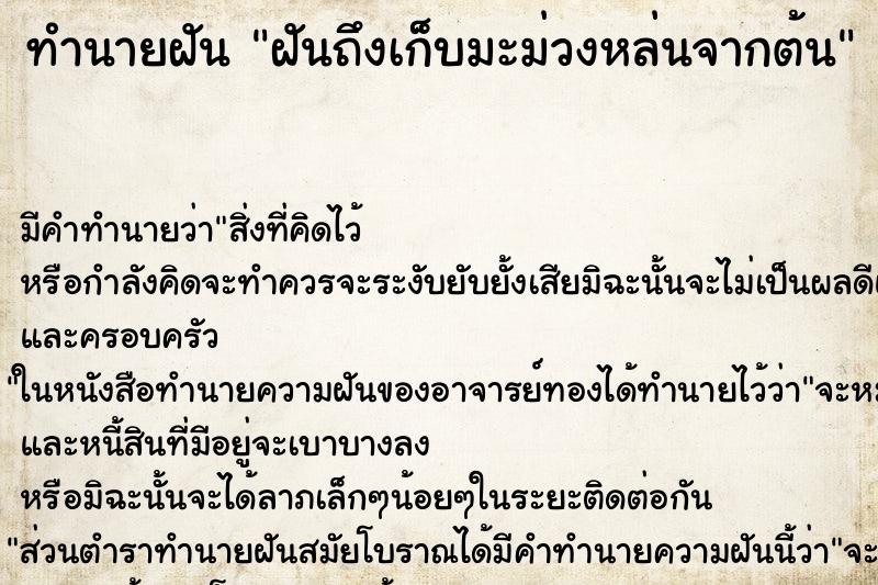 ทำนายฝันฝันถึงเก็บมะม่วงหล่นจากต้น ทำนายฝันทำนายฝันฝันถึงเก็บมะม่วงหล่นจากต้น