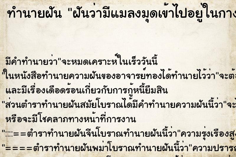 ทำนายฝัน ฝันว่ามีแมลงมุดเข้าไปอยู่ในกางเกงในของตัวเรา ตำราโบราณ แม่นที่สุดในโลก