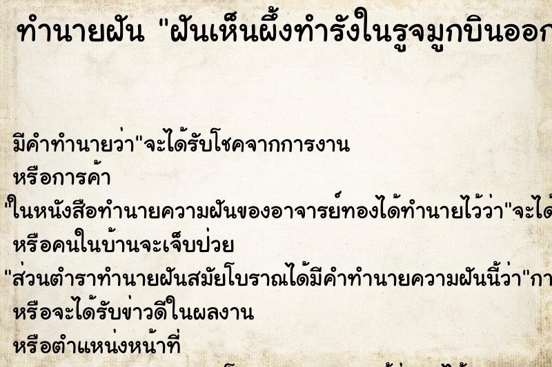ทำนายฝันทำนายฝันฝันเห็นผึ้งทำรังในรูจมูกบินออกจากรูจมูกตัวเรา