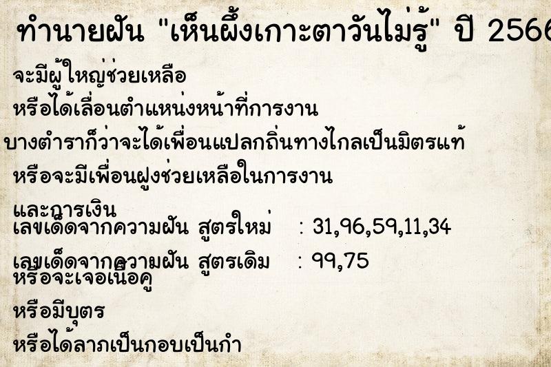 ทำนายฝันเห็นผึ้งเกาะตาวันไม่รู้ ทำนายฝันทำนายฝันเห็นผึ้งเกาะตาวันไม่รู้