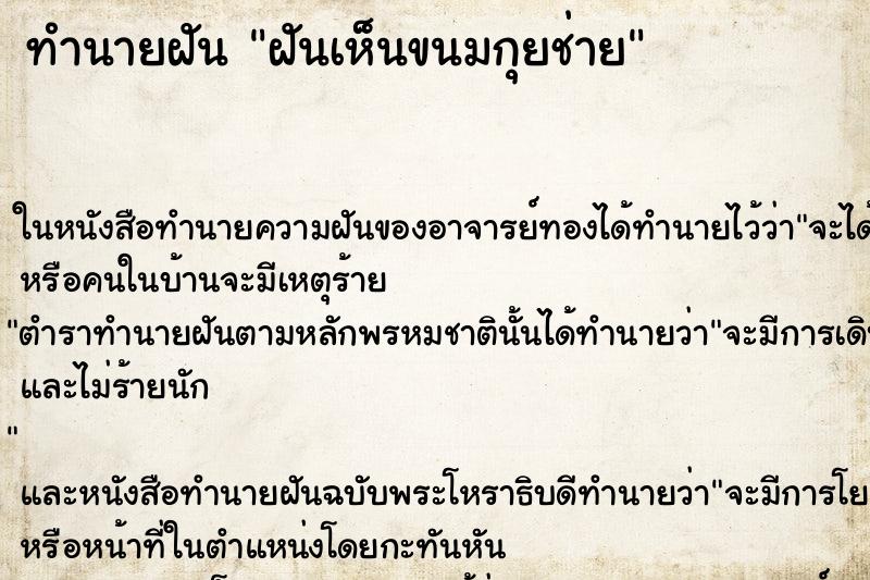 ทำนายฝันฝันเห็นขนมกุยช่าย ทำนายฝันทำนายฝันฝันเห็นขนมกุยช่าย