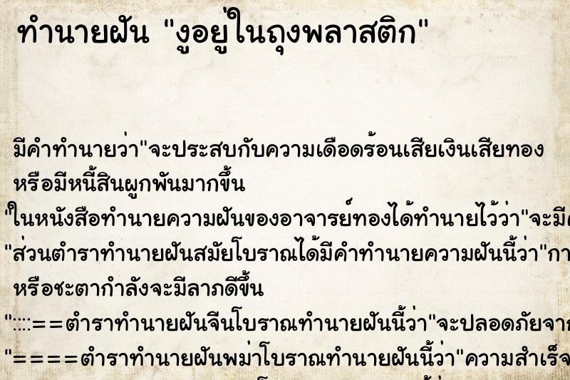 ทำนายฝัน งูอยู่ในถุงพลาสติก ตำราโบราณ แม่นที่สุดในโลก