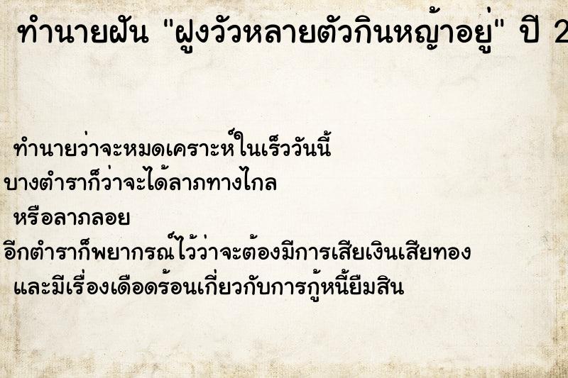 ทำนายฝัน ฝูงวัวหลายตัวกินหญ้าอยู่